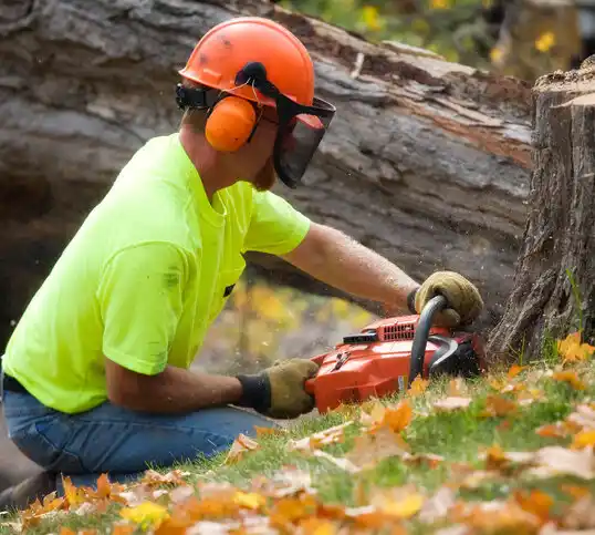 tree services Elgin